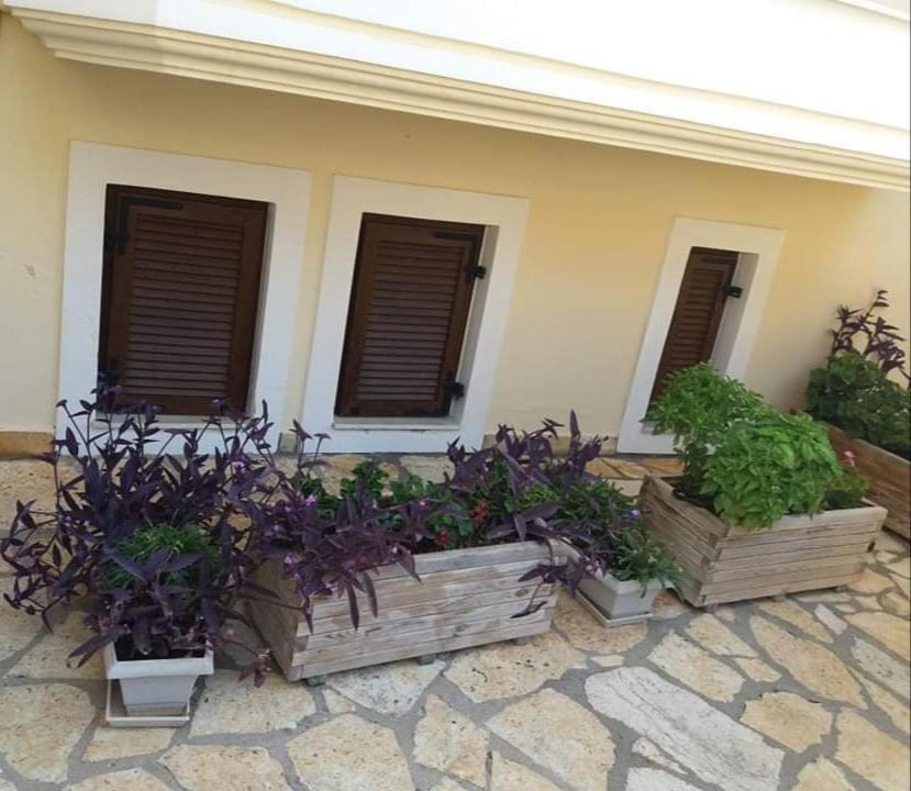 Villa Karolina Tsogkas Sivota  Luaran gambar